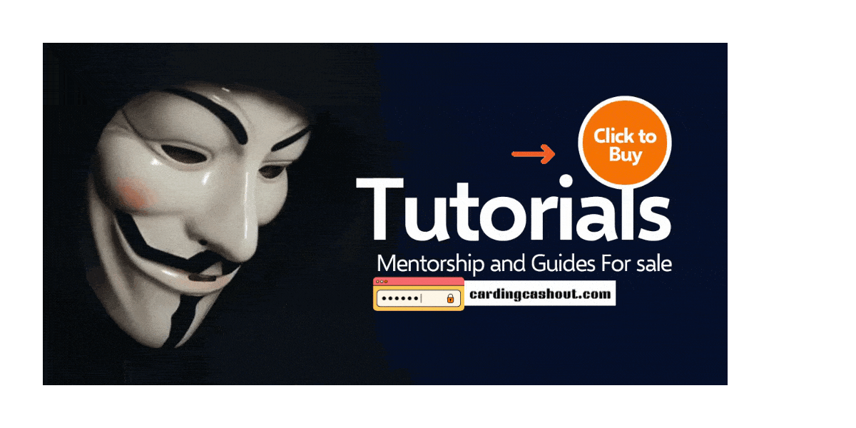 Carding Mentorship and guides