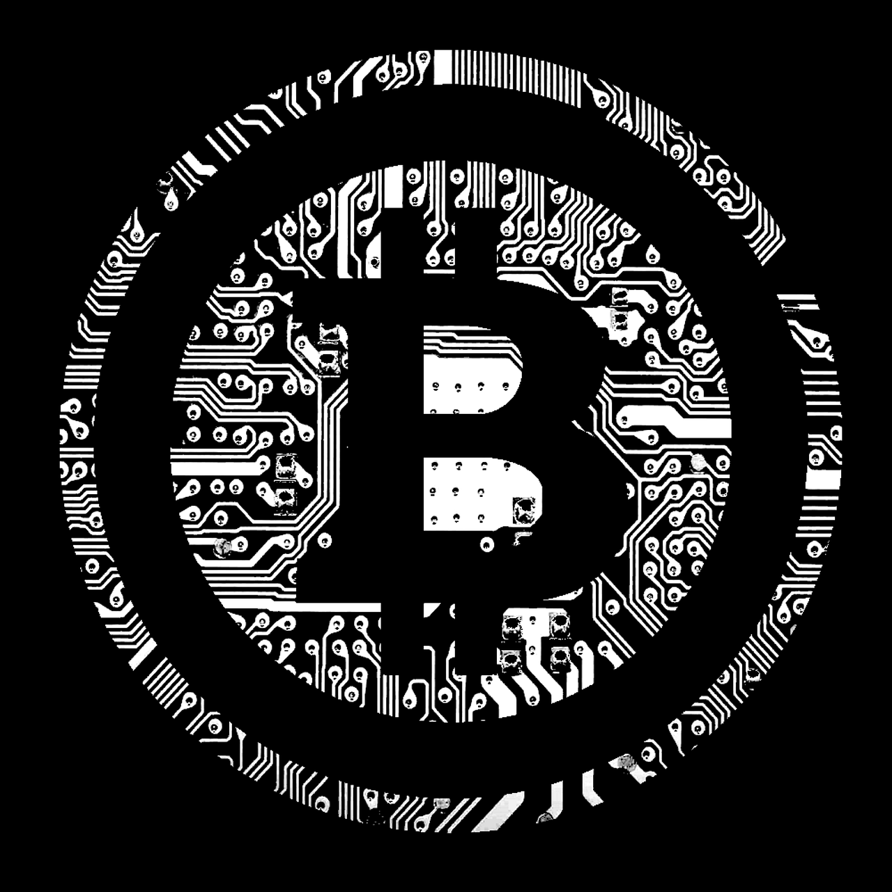 PAYPAL TRANSFER